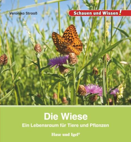 Die Wiese: Schauen und Wissen!