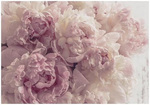 WallArena - Carta da parati fotografica in tessuto non tessuto, motivo peonia, rose, romanticismo, rosa, 300 x 210 cm, carta da parati fotografica, per soggiorno, camera da letto, carta da parati in