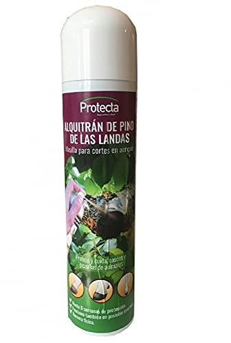 Biosix Alquitrán de Pino de Las Landas Pulverizador - Masilla para Cortes de poda e injertos en Aerosol (Spray) - 300 ml