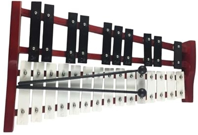 xylophon Glockenspiel-Xylophon Mit 25 Tasten Und Klar Markierten Noten. Schlaginstrument
