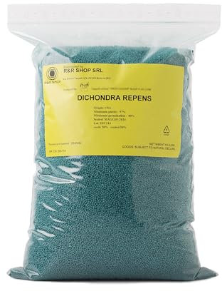 R&R SHOP - Turf Mix, Dichondra Repens, Origin USA, Durable and Decorative (200gr - 20sqm)