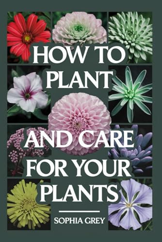 How to plant and care for your Plants