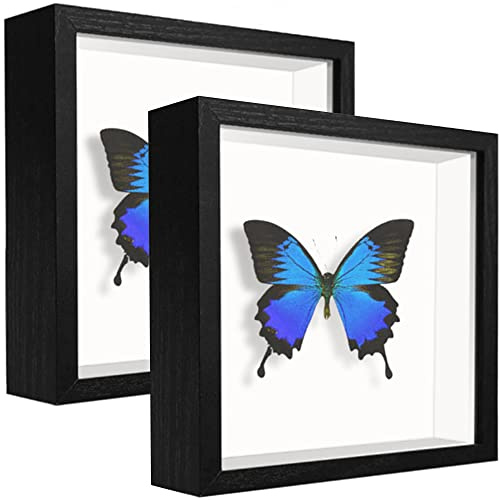 sunmeg 2 st 3D skugglåda 14 x 14 cm bildram trä djup låda fyrkantiga fotoramar skrivbord eller vägg hängande för medalj, blommor och hantverk display