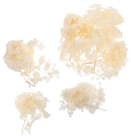 SMASOLO Ortensia Essiccata Conservata Foglie Naturali per Decorazioni Matrimonio Confetti per Feste Progetti DIY e Centrotavola