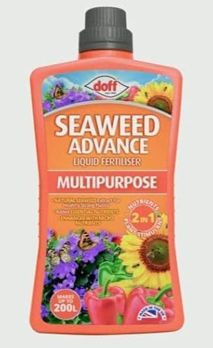 Multipurpose Seaweed Liquid Fertilizer Keep Fruits and Vegetables Strong and Healthy (1L Seaweed Multipurpose)