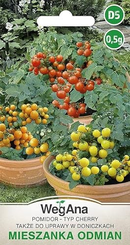WegAna Tomates Cherry F1 0,5g semillas mezcla de variedades Semillas de tomate Semillas de hortalizas robustas, semillas de hortalizas semillas de propagación para el jardín
