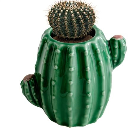 Vaso per fiori di, vasi in ceramica per fiori Vaso decorativo Contenitore