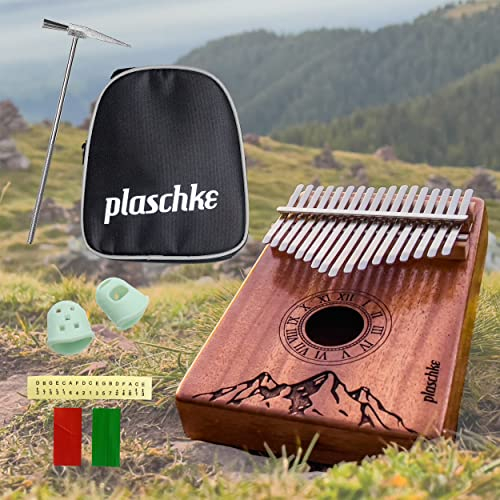 Alp-Gold Kalimba, 17 Keys, Daumenklavier, Finger Piano, Mbira, mit Tasche. Aus Südtirol
