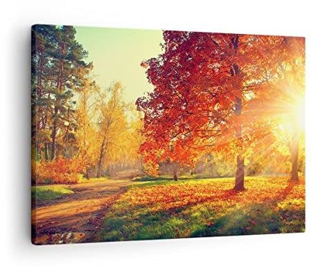 ARTTOR Tableau sur Toile Décoratif 70x50 cm Botanique Paysages - 3654 | Parc Automne Arbre Impression sur Toile Décoration Murale Art Mural Toile Imprimée Salon Chambre Cuisine ARTTOR