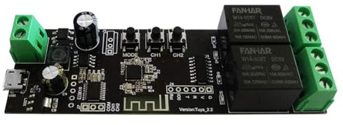 Tsadeer Selbstsichernder Schalter Relais ein Momentaner Impuls WiFi ein 2 Kanäle Relaismodul WiFi Smart Life/APP Tuya Steuerung