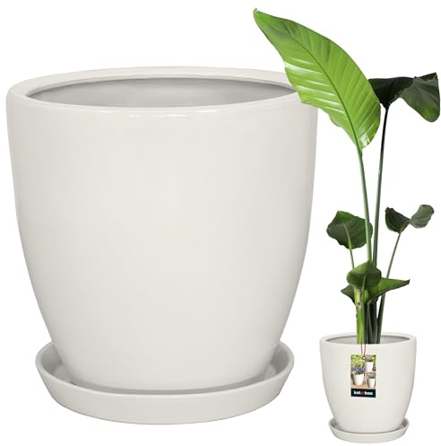 KOTARBAU® Växtkruka med underlägg, vit ⌀ 31 cm, höjd: 30 cm, glaserad keramisk blomkruka, stor planta, kaktuskruka med underlägg, ytterkruka med underlägg, blomkrukor, keramik