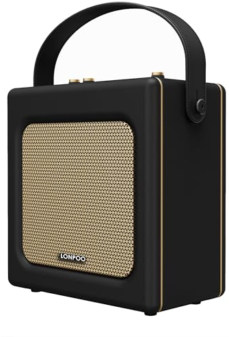 LONPOO Retro Regallautsprecher, Tragbar Bluetooth Lautsprecher in Lederoptik mit Akku, 20W Kompaktanlage Karaoke-Systeme mit USB, Aux-IN, 6,5MM Mikrofonanschluss, Type-C Aufladung
