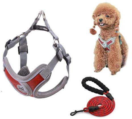 ZHHSUNY Reflektierendes Welpengeschirr und Leine, Sets für kleine Hunde, weich, atmungsaktiv, X-Rahmen, kein Ziehen, kein Würgen, verstellbare Weste, Geschirr für Spaziergänge (Rot, S)