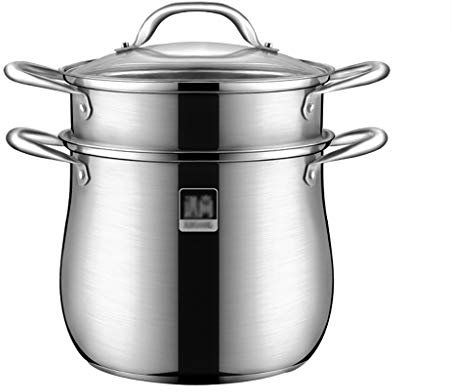 ANSNOW 2-Stufiger Dampfgarer Aus Edelstahl, Gemüse-Dampfeinsatz-Set, Deckel Aus Gehärtetem Glas, Boden Aus Dreischichtigem Verbundwerkstoff/26 * 36,5 cm