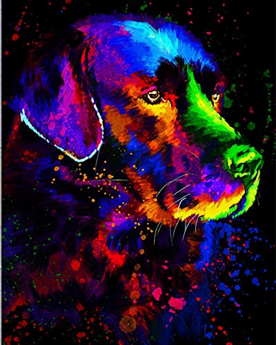 PPTRTYQ Malen nach Anzahl für Erwachsene DIY Ölgemälde-Kits mit Pinseln und Acrylpigment Leinwand Malerei Dekor 16 x 20 Zoll - Buntes Haustier Labrador Porträt