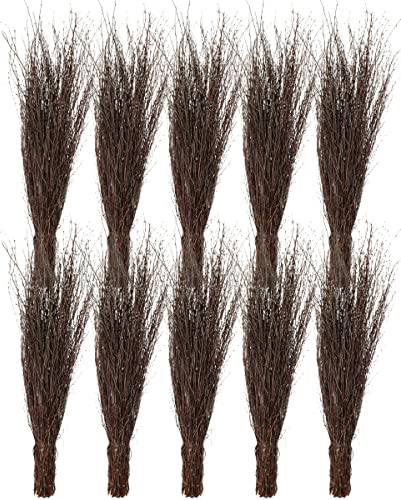 Agrarflora Strauchbesen aus Birkenreisig - Handgefertigt und 3-Fach gebunden, Reisigbesen, Hexenbesen, Reiserbesen, Kehrbesen aus Birkenzweigen, Birkenbesen für Haus & Garten - 10 Stück