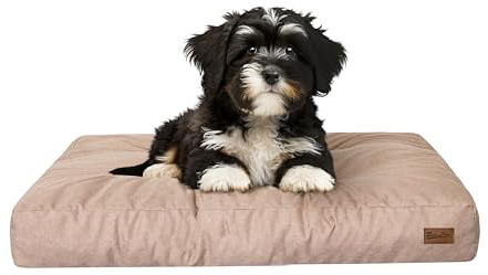 PillowPrim Hundebett, rechteckige Form, Haustiermatratze, Katzenbett, Hundekissen, Korb, Hundesofa, Liegeplatz, Gesteppt, Kissen, für kleine Hunde, Beige