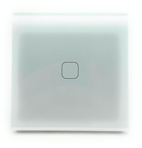 Panneau d'interrupteur double mural tactile moderne avec prise et port USB et USB-C WiFi, couleur blanche (un interrupteur WiFi)