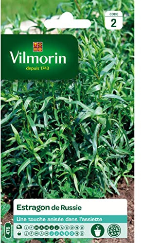 Bolsa de semillas de Estragon de Rusia