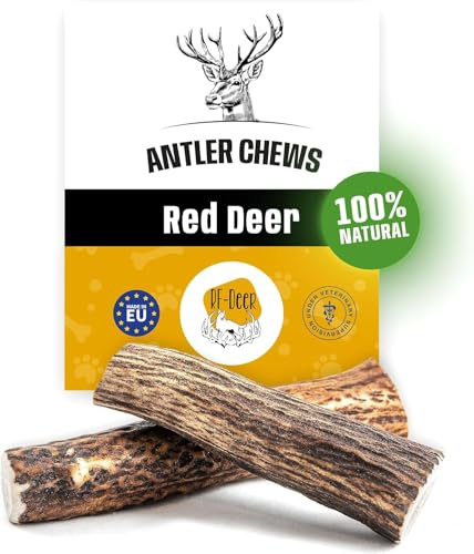 RF-Deer Kronhjortshorn för hundar, naturligt tuggsnack, L Hard, 1 st