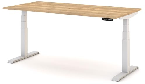 ASSMANN Elektrisch Höhenverstellbarer Familien Schreibtisch Pitino 120x80cm Eiche Natura Weiß, TÜV-Zertifiziert, Memoryfunktion, Kollisionsschutz, 5 Jahre Herstellergarantie einfache Montage für Büro