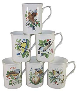 Set of 6 Beatiful Wild FINE Bone China Birds Mugs Cups Gift Set