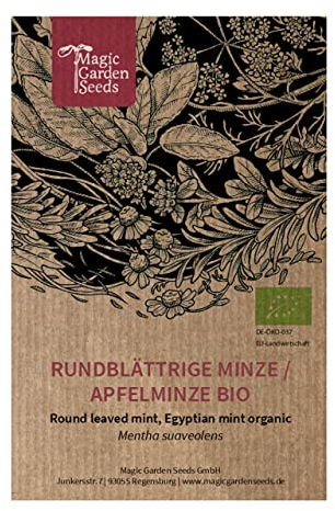 Menta Mela (Mentha suaveolens) biologica - circa 500 semi