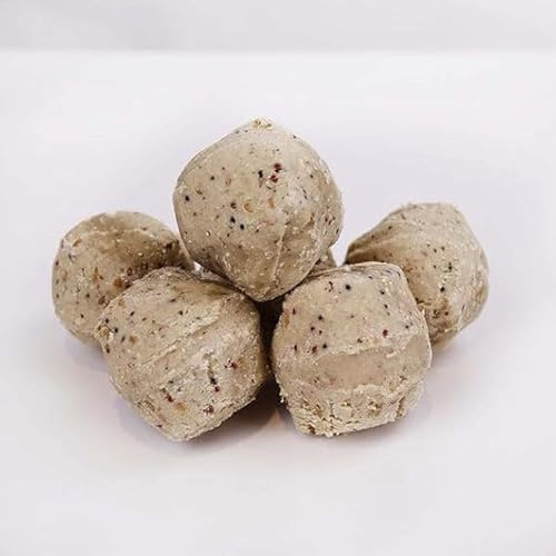 Wiggly Wigglers Fat Balls For Wild Birds High Energy Super Suet Feed Bird Fatballs Nutritious Food For Small Garden Birds (Pack of 10)