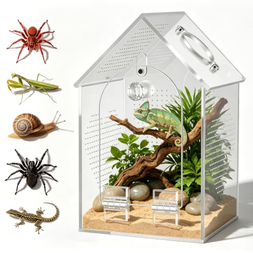 Acryl Terrarium, 360° Panorama Reptilien Faunabox, Reptil Fütterungsbox für Springspinne, Schnecken, Eidechsen, Vivarium mit Querlüftung, Insektenterrarium Aufzuchtbox