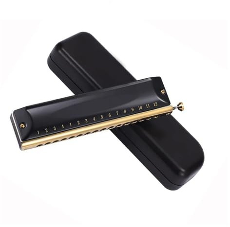 Mundharmonika Chromatische Mundharmonika Mit 12/16 Löchern, Professionelle Mundharmonika, Hochwertiges Musikinstrument-Akkordeon (Color : 16 Holes)