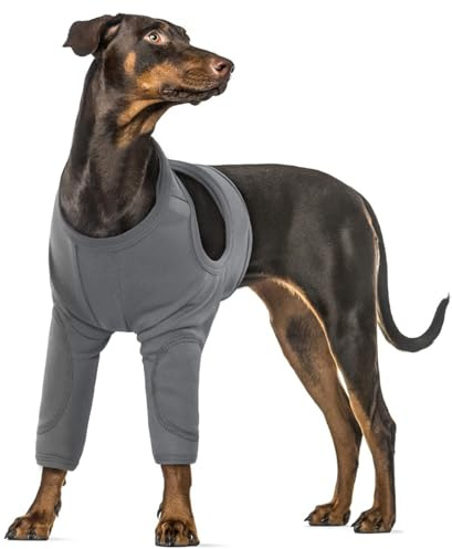 XXL Hundebody Nach Op, Ellenbogenbandage Medical Shirt Hund Wundschutzanzüge für Große Hunde Dog Recovery Suit(Grau, 2XL)