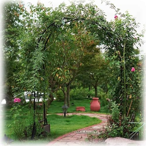 Arche de jardin en fer pour plantes grimpantes et fleurs - Tonnelle en treillis métallique 180 x 220 cm et 280 x 220 cm - Parfait pour les mariages - Fruits et légumes - Décoration extérieure