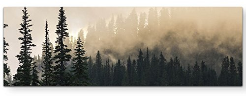 Paul Sinus Art Leinwandbilder | Bilder Leinwand 120x40cm Wald im Nebel