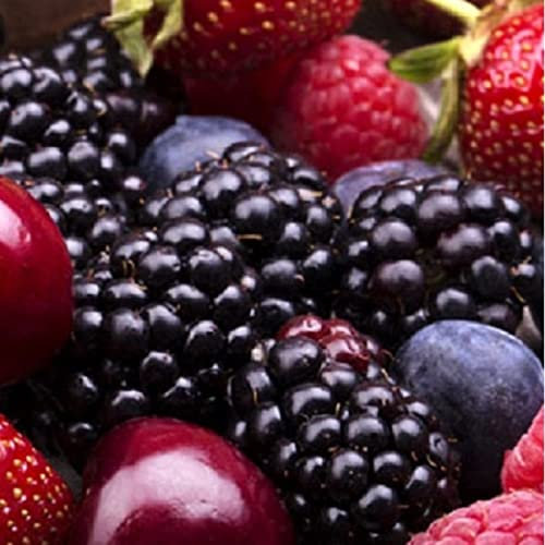 Haie de bonbons naturels - 5 buissons différents, arbustes plantés en forme de haie afin de pouvoir être facilement grignotés