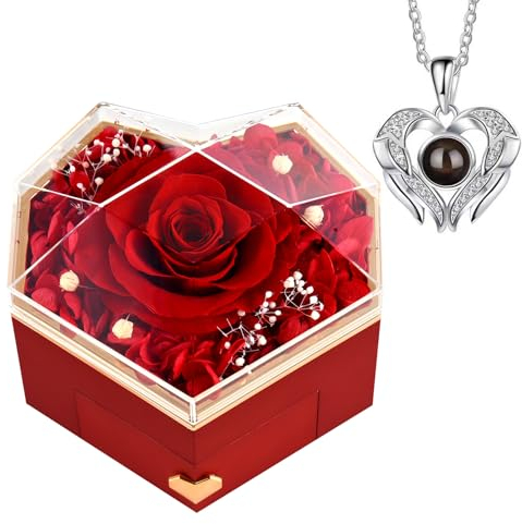 GOICC Ewige Rose Valentinstag Infinity Rosen Mit Kette Konservierte Echte Rosen Schmuck Box Für Mama Oma Für Sie Freundin Zum Valentinstag Geburtstag Geschenke