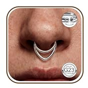 JeweBella 16G G23 Titan Nasenpiercing Ring Silber/Gold Helix Daith Septum Piercing Hinged Segment Clicker Nasenring Knorpel Ohrringe Tragus Conch Nostril Piercing Ring 8mm/10mm