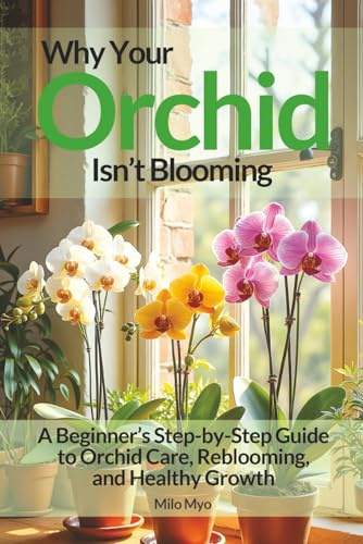 Why Your Orchid Isn’t Blooming: A Beginner’s Step-by-Step Guide to Orchid Care, Reblooming, and Healthy Growth