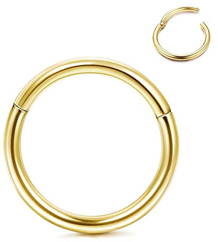 Roheafer Nasenring Hoop Hypoallergen G23 Titan Knorpel Ohrring Segmentring 14G 16G 18G 20G Knorpel Daith Conch Tragus Helix Septum Nasenpiercing Ring Ear Body Piercing Schmuck 1 Stück