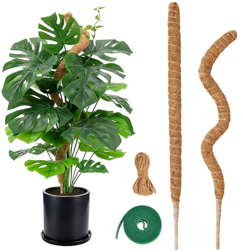 Tuteur Monstera, Lot de 2 Supports pour Plantes Grimpantesen Coco Naturel 60cm avec Ficelle et Sangles Velcro, Tuteur Stable et Flexible pour Forme DIY -Pour Plantes d'Intérieur Monstera, Philodendron