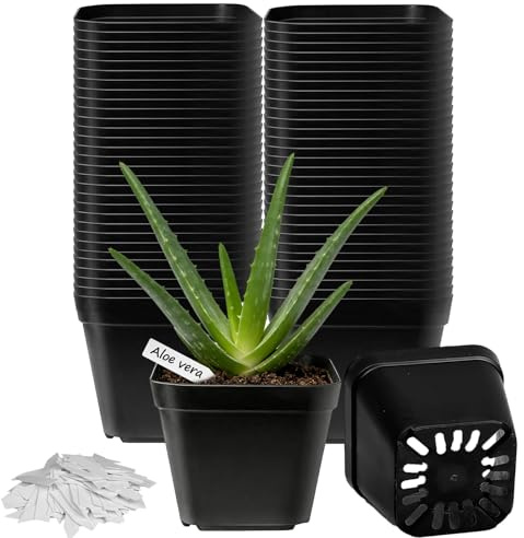 TEYIAN 60pcs 10cm Plastic Plant Pots Flower Nursery Pots Herb Pot Seed Seedling Pots with Drainage Hole and 100Pcs Plant Labels for Succulent, Flowers, Cactus All House Plants