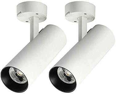 Adjustable Metal Black LED Wall Lamp - 2 Pack Surface Mounted Spotlight Fixture, 4000K Directional Lights for Gallery & Living Room