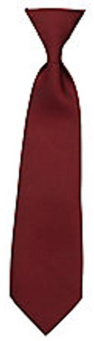 5starwarehouse Kids ELASTIC TIE Childrens School Solid Plain Wedding Slim Classic Necktie Cravat UK (Burgundy)