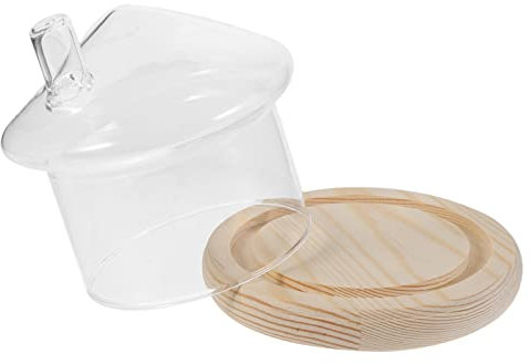 Beavorty Cloche en Verre pour Présentation, Couvercle Transparent pour Fleurs Éternelles, Protection Contre La Poussière, Base Stable Et Design Élégant pour Micro-Paysage