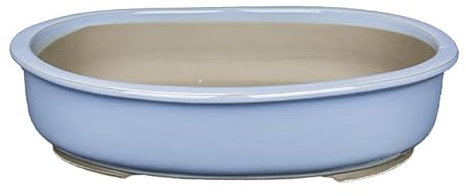 Vaso per bonsai Giapponese Morrisan ovale in gres smaltato azzurro 38x31x7,5 cm - B22-40a