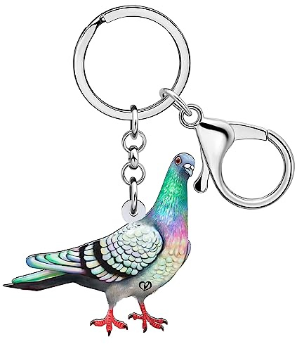 BAMAY Porte-clés Pigeon Acrylique Oiseau Porte-monnaie Porte-clés Voiture Bijoux Printemps Cadeaux pour Femme Filles Charms d'été Pigeon Mignon (Multicolore 307)