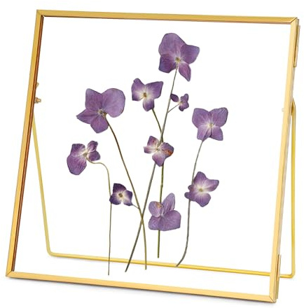 REDHUGO Double Glass Frame for Pressed Flowers, Square, Gold, 8x8 Inches