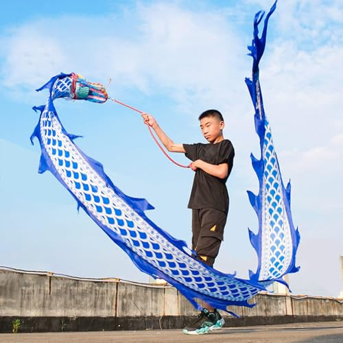 EXCLURA Jongliertücher Blau-weißer Drachen-Poi für Kinder, 2m/ 3.0m/ 5m Jonglierdrachenspielzeug mit Schuppen, Drachen-Poi-Band mit Kopf & Seil & Reisetasche(Size:2 m (6.6 ft))