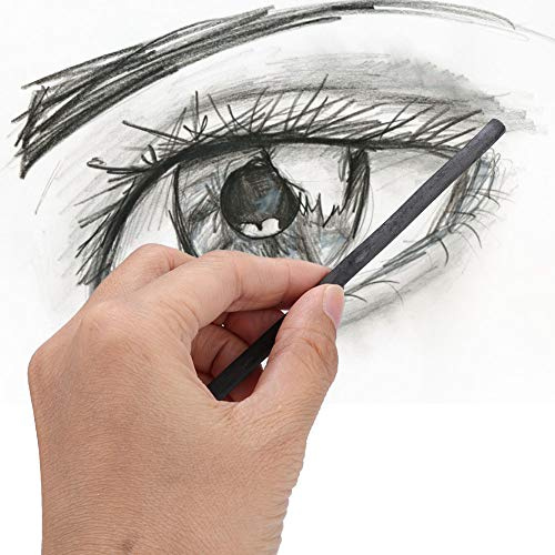 Dioche Suministros de Materiales de Dibujo Barra de Carbón para Dibujo con Lápiz de Carbón de 25 Piezas para Artistas - Herramientas de Artístico Versátiles para Bocetos, Pintura Al óleo y China -