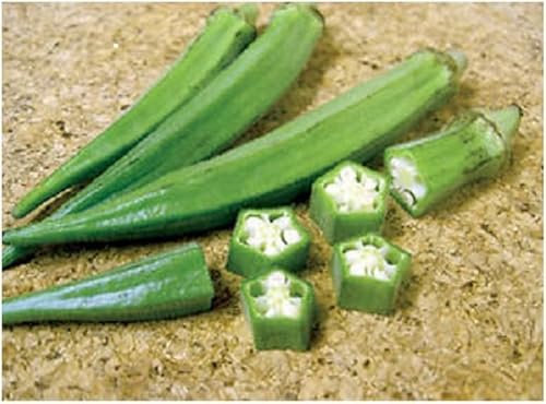 50 Graines Semences de Gombo Clemson Spineless fruit jardin potager potage cuisine sauce plante aromatique - 104