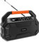 TechniSat DIGITRADIO 231 OD – DAB+ Baustellenradio mit integriertem Akku und zusätzlicher Akkuaufnahme kompatibel zu Makita, Bosch Professional & DeWalt (Bluetooth, 16W Stereo-Lautsprecher)